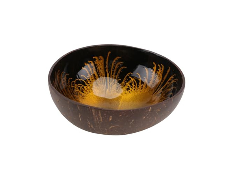 Forros de Banneton Para Tigelas Plástico Cozinha Tigela de Coco e Conjunto de Colher Smoothie