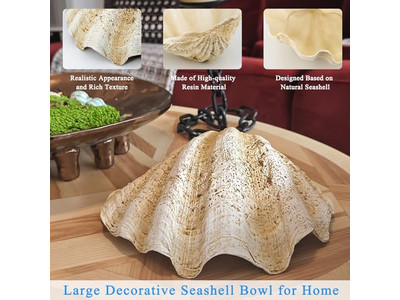 Tigela de Coco para Plantas Casca Não Polida Gravura Tigelas e Pratos de Madeira