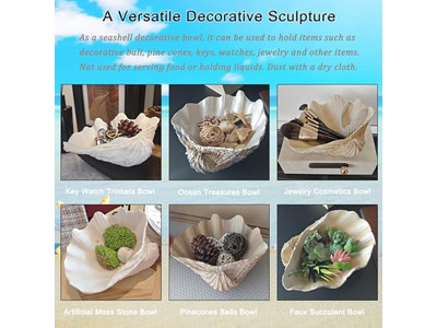 Tigela de Coco para Plantas Casca Não Polida Gravura Tigelas e Pratos de Madeira