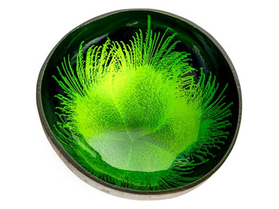 Conjunto de Tigelas Ecológicas Feitas à Mão Tigelas de Madeira de Coco para Sopa em Forma de Diamante